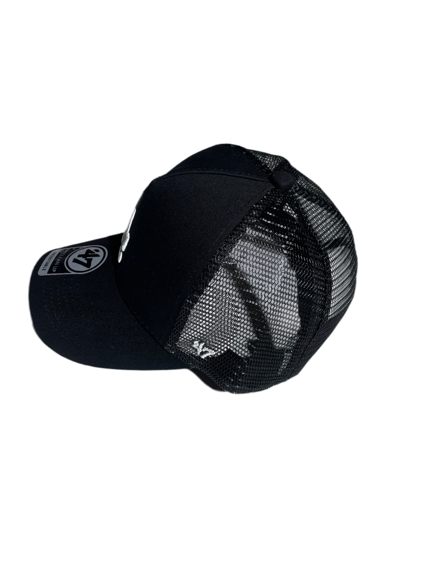 LA White Los Angeles "BackNet" Cap