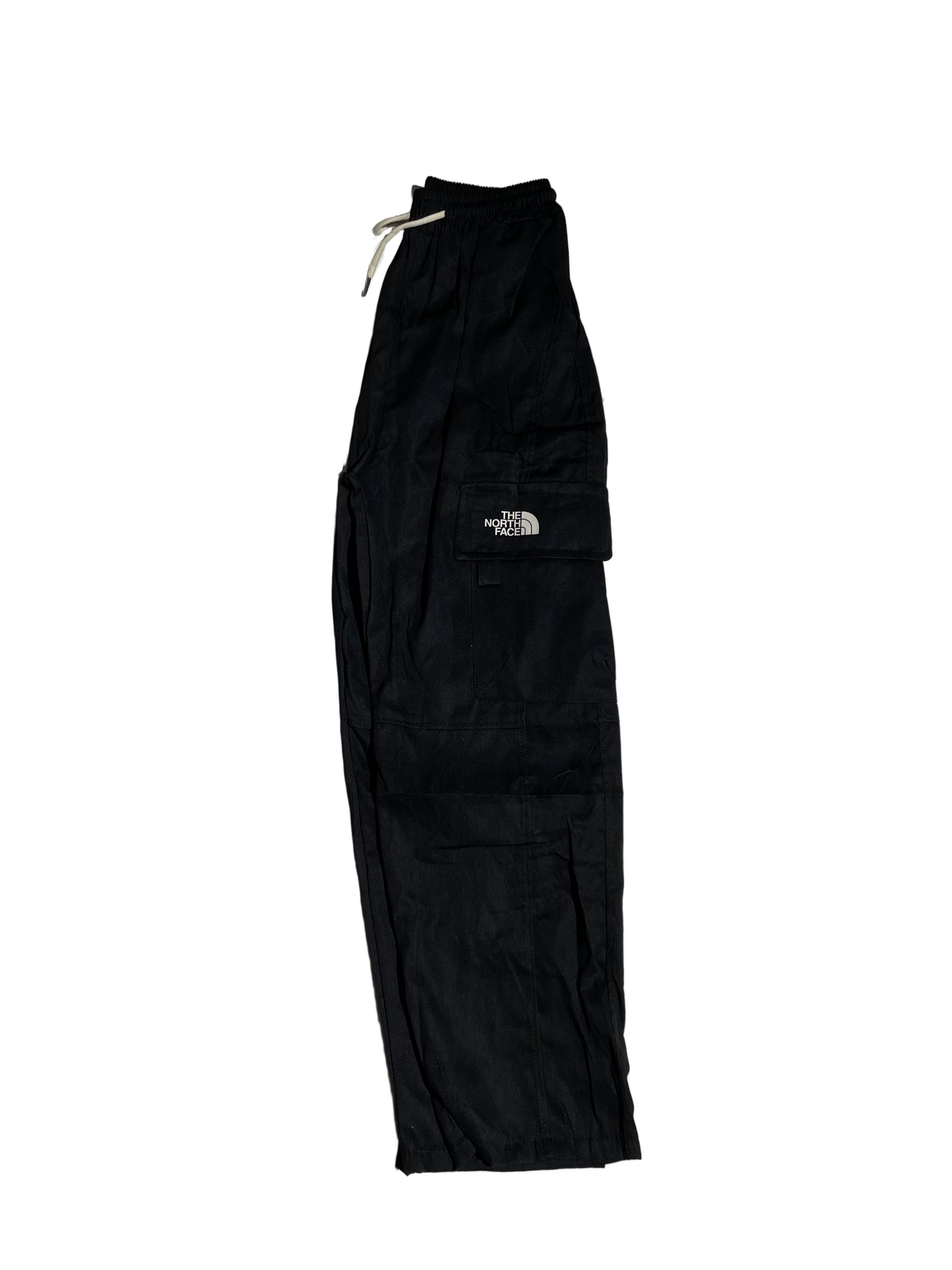 NorthFace Ufo Cargo Pants